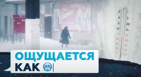 С порывами ветра до 25 м/с: видео из Челябинской области, где бушует метель