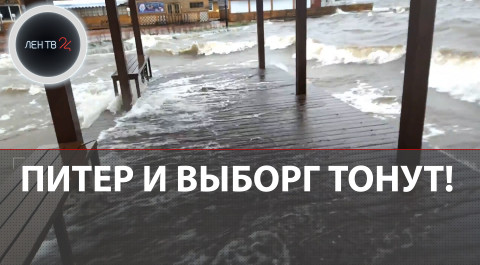 Ураганы «Хендрик» и «Игнатца» топят машины и валят деревья: Выборг и Петербург в воде