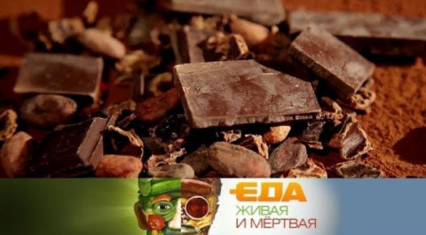 "Еда живая и мёртвая": пять фактов о шоколаде и тонкости рациона спортсменов  (10.02.2018)
