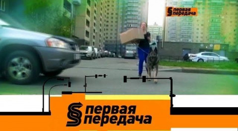 "Первая передача": спорное ДТП с собакой, одна машина на двоих и мойка под капотом (19.05.2019)