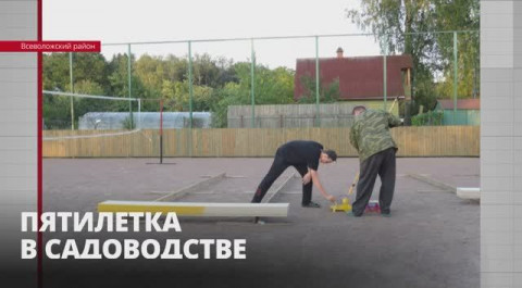 В садоводстве Всеволожского района энтузиасты своими руками создали хоккейную коробку и библиотеку.