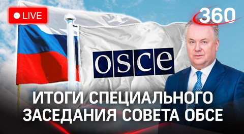 Итоги специального заседания при ОБСЕ: пресс-конференция Александра Лукашевича