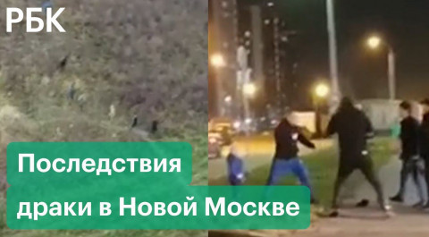 Четверо против отца с ребёнком: подробности конфликта и драки в Новой Москве
