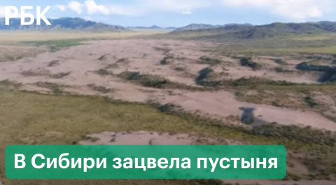 В Сибири цветет пустыня и тает вечная мерзлота. Как изменение климата становится заметным