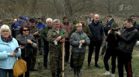 В Северной Осетии высадили миллионное дерево в рамках акции "Сад памяти"
