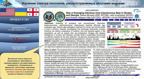 По заказу Пентагона в украинских лабораториях велись секретные эксперименты