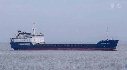 Украинские военные обстреляли в Азовском море российское гражданское грузовое судно