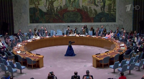 Совет Безопасности ООН не принял резолюцию России по гуманитарной ситуации на Украине